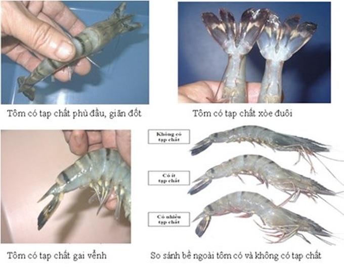 Cách nhận biết tôm, cá ngậm hóa chất - 1