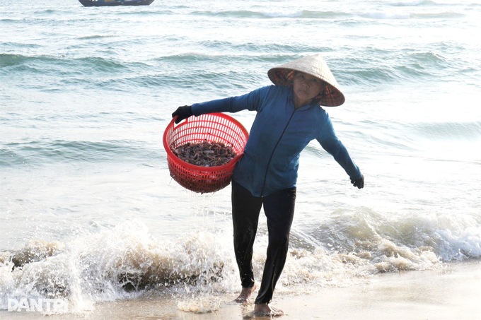 Nhọc nhằn nữ phu cá bám biển mưu sinh - 7 Nhọc nhằn nữ phu cá bám biển mưu sinh - 7
