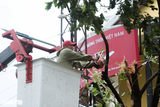 Người dân chung tay cùng dọn dẹp phố cổ Hội An, khắc phục hậu quả do bão - 3 Người dân chung tay cùng dọn dẹp phố cổ Hội An, khắc phục hậu quả do bão - 3