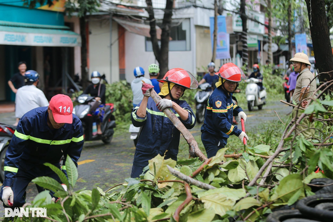 Người dân chung tay cùng dọn dẹp phố cổ Hội An, khắc phục hậu quả do bão - 4 Người dân chung tay cùng dọn dẹp phố cổ Hội An, khắc phục hậu quả do bão - 4