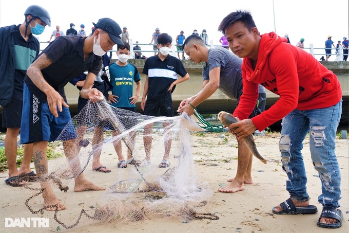 After the storm, people in Da Nang go to the sea to catch fish... fresh water, make a mess - 7