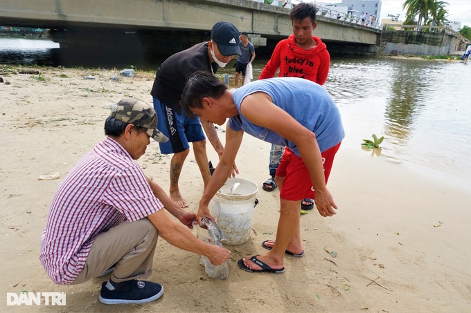 After the storm, people in Da Nang go to the sea to catch fish... fresh water, make a mess - 9