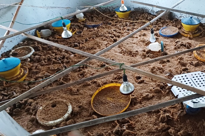 Nước dâng ngang chân rồi ngang bụng, tôi chỉ kịp ôm hai con chạy - 6 Nước dâng ngang chân rồi ngang bụng, tôi chỉ kịp ôm hai con chạy - 6