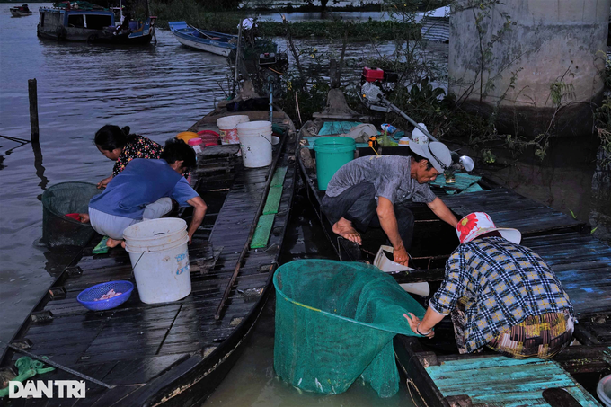 Kỳ lạ phiên chợ lênh đênh giữa đồng, bán đặc sản vạn người mê - 4