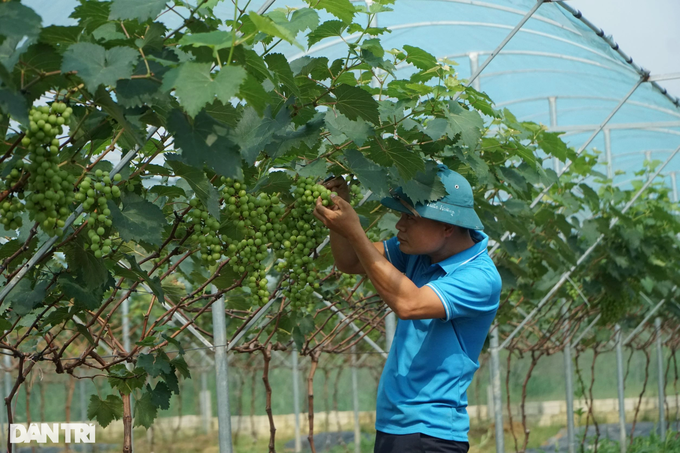 Cú liều ăn nhiều của anh khùng khiến ai cũng ngả mũ thán phục