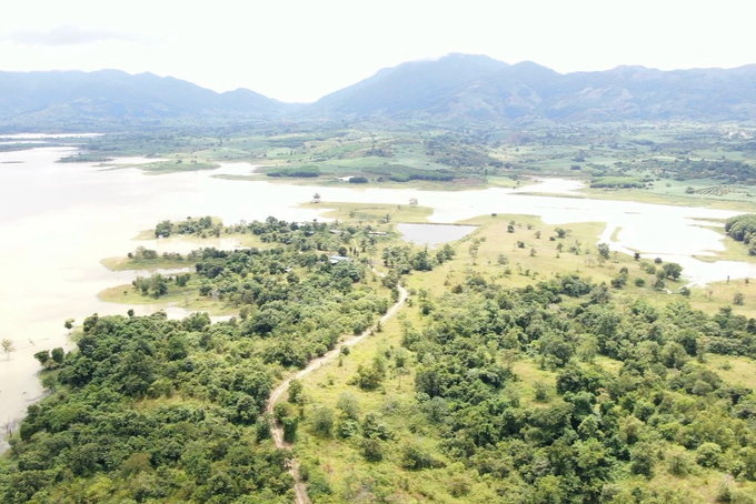 Nguyên Bí thư Tỉnh ủy Đắk Lắk: Tôi không lấn chiếm rừng - 1 Nguyên Bí thư Tỉnh ủy Đắk Lắk: Tôi không lấn chiếm rừng - 1