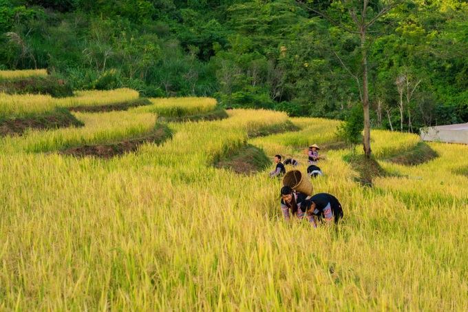 Biệt thự nghỉ dưỡng phong cách Pháp cạnh Hà Nội - 3