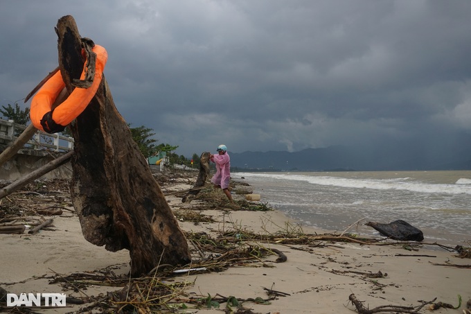 People rushed to collect firewood after heavy rain, making millions every day - 1