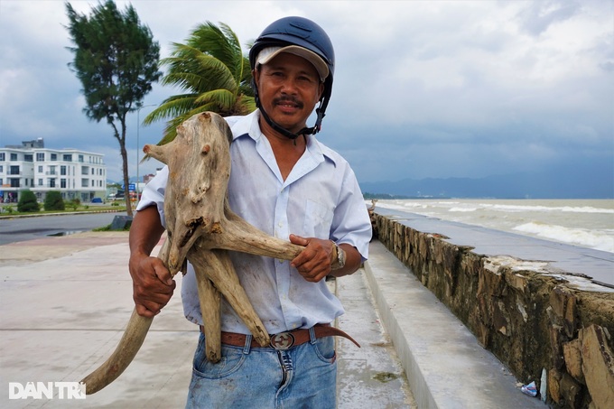 People rush to collect firewood after heavy rain, making millions every day - 10