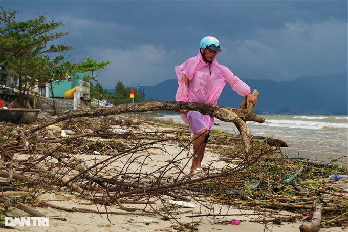 People rushed to collect firewood after heavy rain, making millions every day - 2