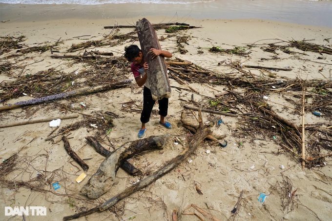 People rushed to collect firewood after heavy rain, making millions every day - 6