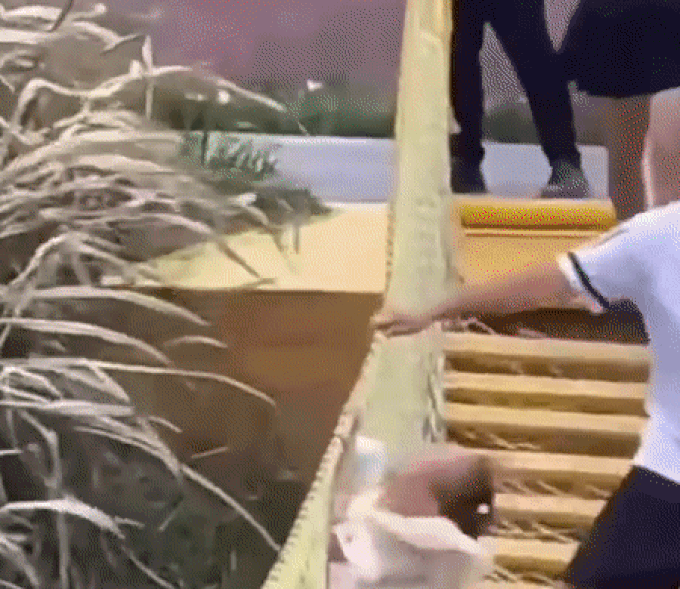 Người cha bị chỉ trích vì trò nghịch dại khiến con ngã nhào trên cầu treo - 1 Người cha bị chỉ trích vì trò nghịch dại khiến con ngã nhào trên cầu treo - 1