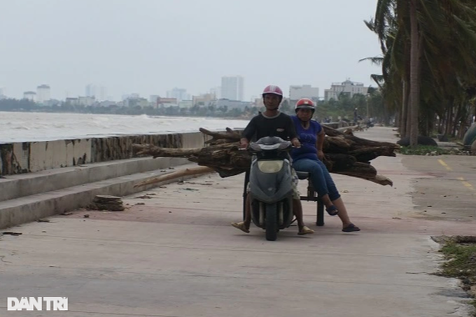 People rush to collect firewood after heavy rain, making millions every day - 8