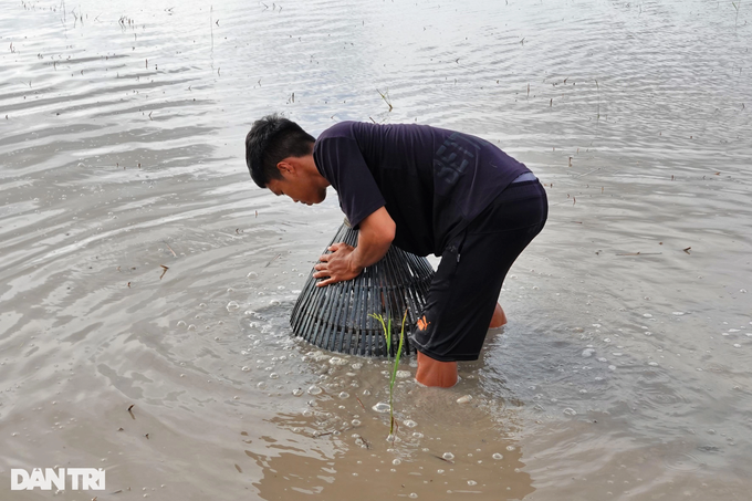 Make a lot of money with the job of pushing the cone in the field in the floating season - 6