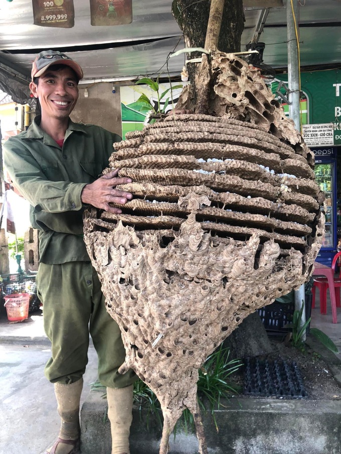 Hunter found a huge 16-storey beehive weighing 21kg in the border forest - 2