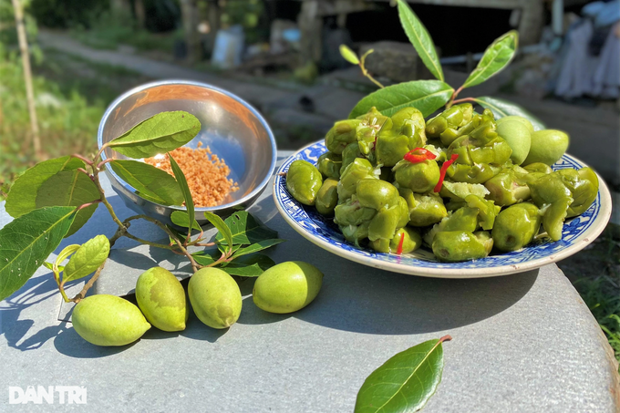 Trồng 2 loài cây ăn quả dễ tính như cây rừng, lão nông thu lãi bất ngờ