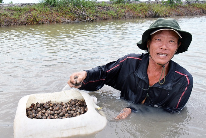 Báu vật dưới ao giúp tỷ phú miền Tây thu lãi khủng