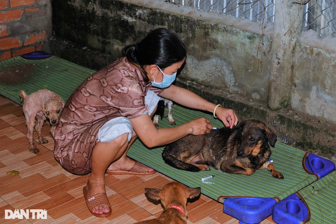 Nữ công nhân bị xa lánh vì lấy tiền cưu mang hàng trăm chó mèo bị bệnh - 8 Nữ công nhân bị xa lánh vì lấy tiền cưu mang hàng trăm chó mèo bị bệnh - 8