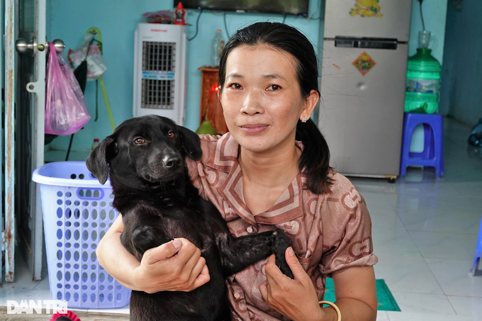 Nữ công nhân bị xa lánh vì lấy tiền cưu mang hàng trăm chó mèo bị bệnh - 1 Nữ công nhân bị xa lánh vì lấy tiền cưu mang hàng trăm chó mèo bị bệnh - 1