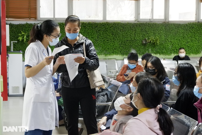Hà Nội: Kiến ba khoang vào mùa, nhiều người nhập viện vì sưng mắt, loét da