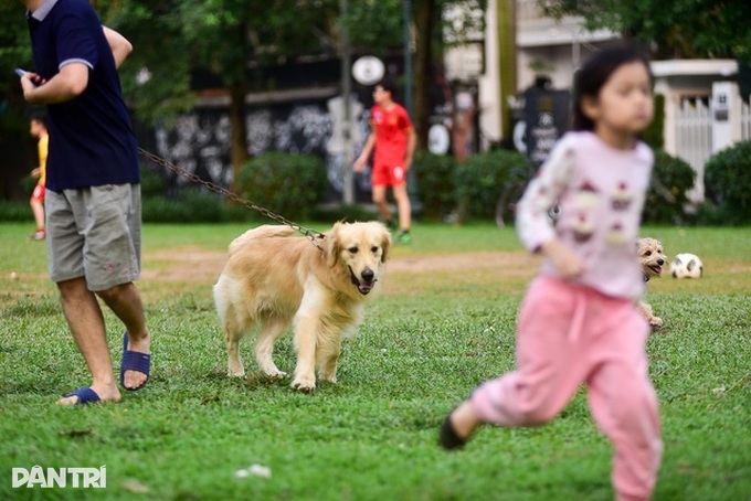 Hàng xóm hận thù, cạch mặt nhau vì Hàng xóm hận thù, cạch mặt nhau vì