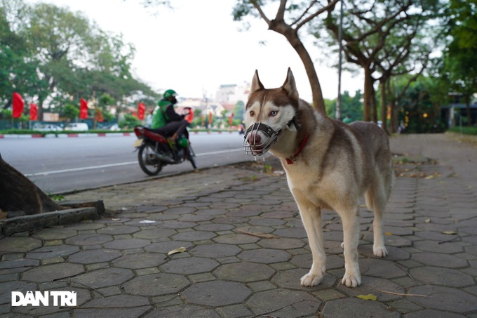 Hàng xóm hận thù, cạch mặt nhau vì Hàng xóm hận thù, cạch mặt nhau vì