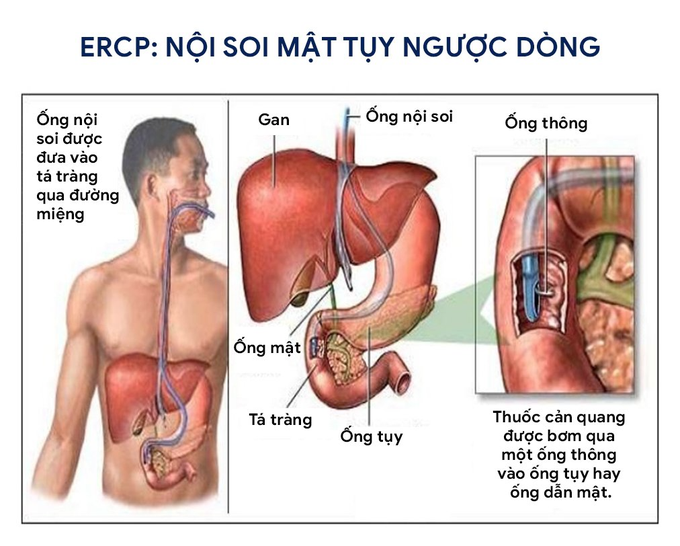 Bác sĩ Bùi Nhuận Quý: Hạnh phúc vì được làm đúng đam mê