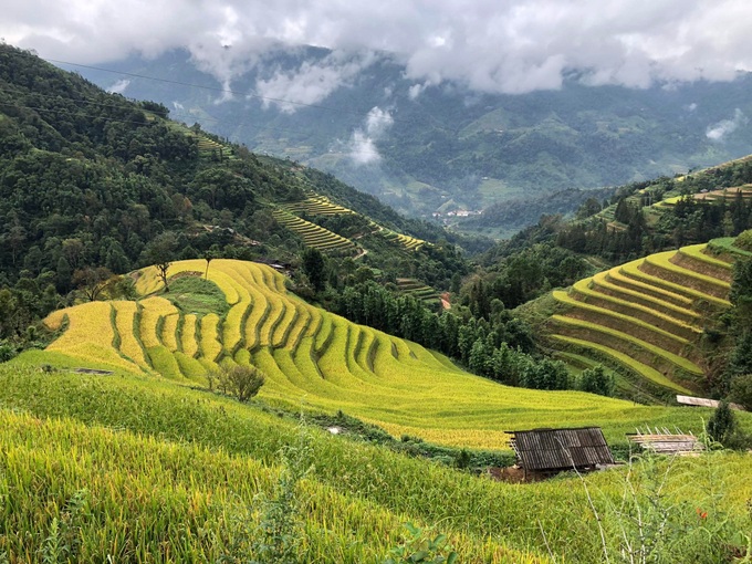 Lạc bước trong khu rừng nguyên sinh ma mị trên đỉnh Tây Côn Lĩnh