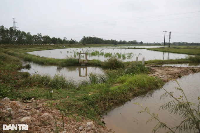 Raising land dragons combined with rice cultivation brings unexpected results to the old farmer - 3