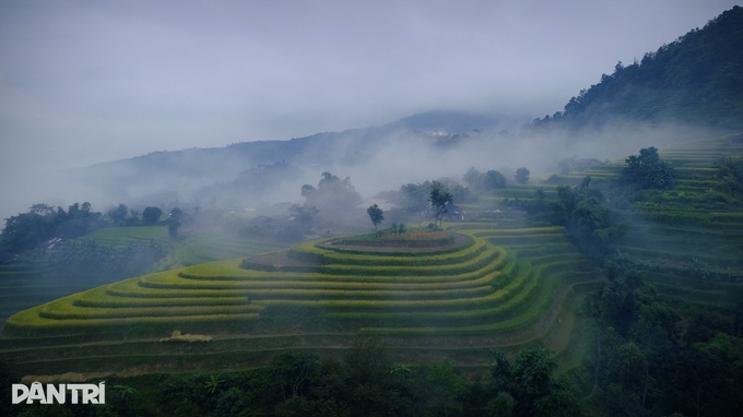 Mùa lúa chín Hoàng Su Phì - đã đi là không muốn về! - 1