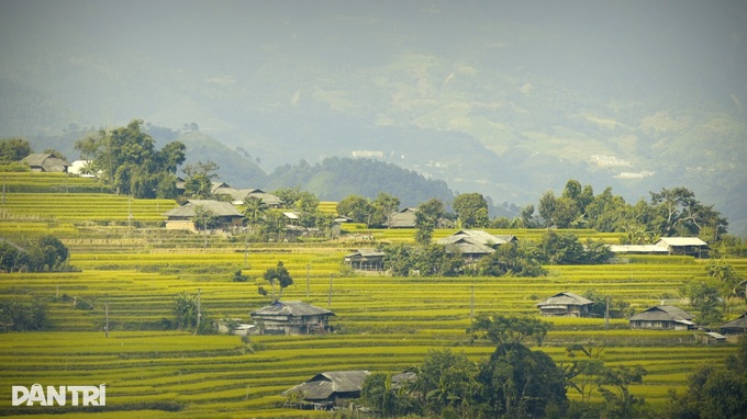 Mùa lúa chín Hoàng Su Phì - đã đi là không muốn về! - 9 Mùa lúa chín Hoàng Su Phì - đã đi là không muốn về! - 9