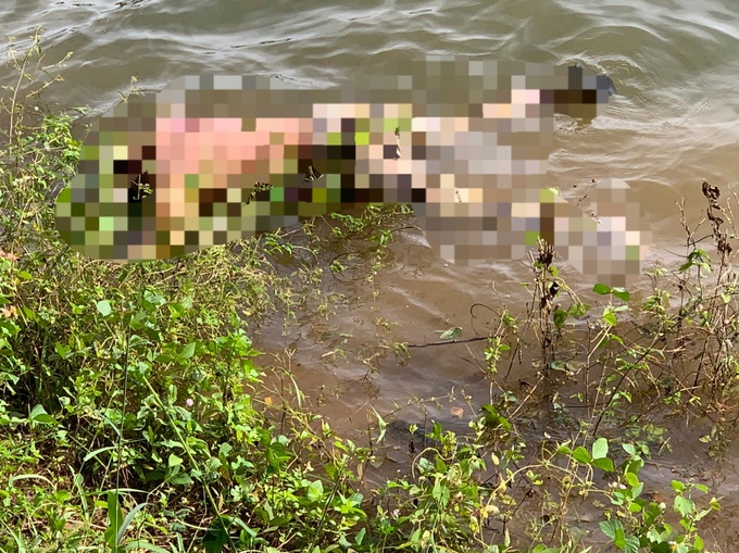 Phát hiện thi thể 2 người mẹ và con gái sơ sinh ở Biển Hồ Pleiku