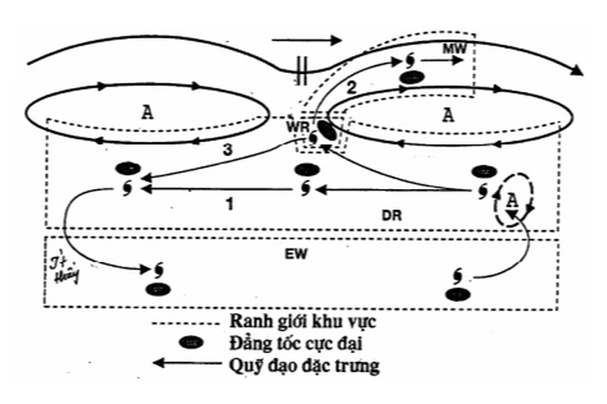 Hai kịch bản xảy ra với bão Nalgae khi vào Biển Đông - 3