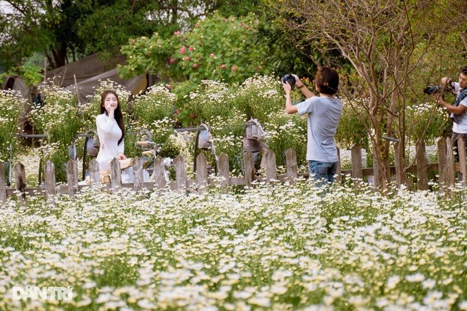 Ha Thanh girls gracefully show off their colors with chrysanthemums at the beginning of the season - 8