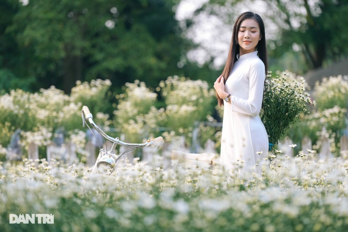 Ha Thanh girls gracefully show off their colors with daisies at the beginning of the season - 3