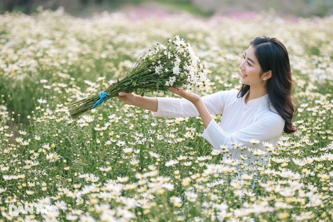 Ha Thanh girls gracefully show off their colors with daisies at the beginning of the season - 6