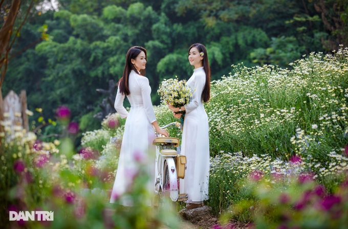 Ha Thanh girls gracefully show off their colors with daisies at the beginning of the season - 7