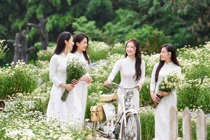 Ha Thanh girls gracefully show off their colors with daisies at the beginning of the season - 1