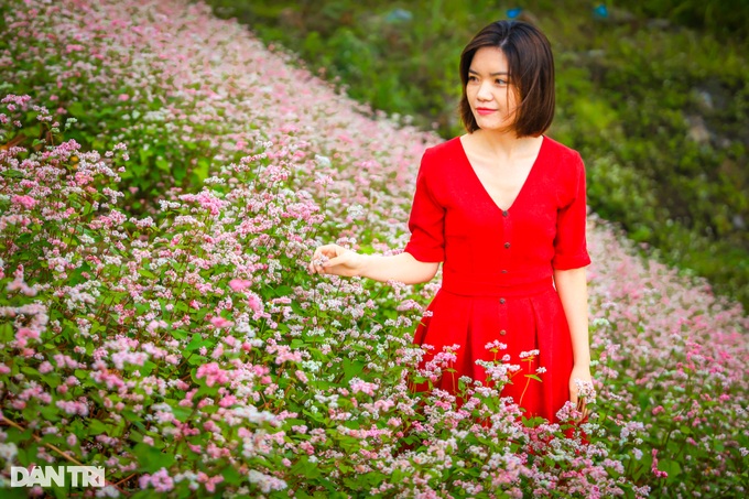 Buckwheat flowers bloom, tourists everywhere flock to Ha Giang to check-in - 10