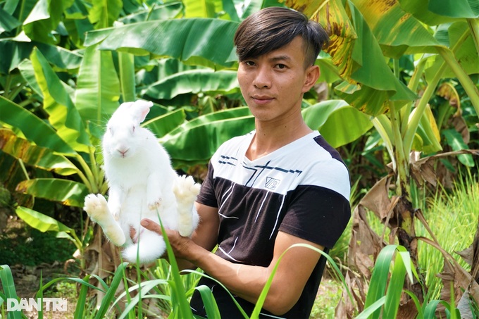 Nuôi loài lông trắng, dáng xinh, ăn khỏe đẻ tiền triệu - 1 Nuôi loài lông trắng, dáng xinh, ăn khỏe đẻ tiền triệu - 1