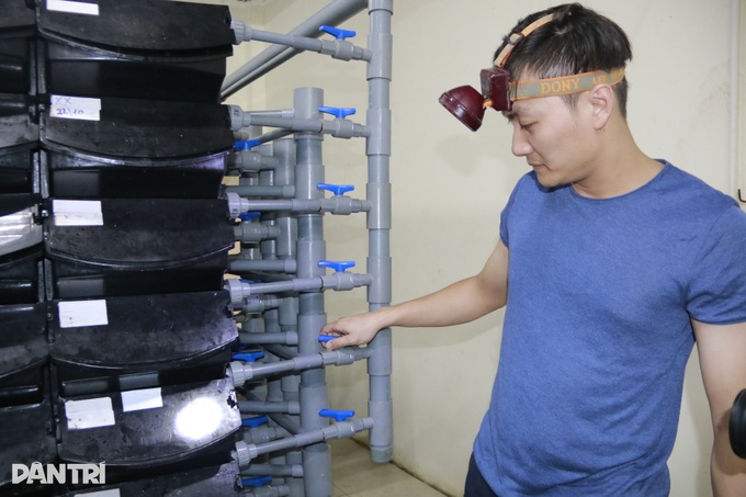 Mục sở thị chung cư mi ni nuôi cua biển giữa phố của chàng trai 9X - 5 Mục sở thị chung cư mi ni nuôi cua biển giữa phố của chàng trai 9X - 5