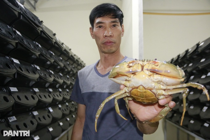 Item of a mini apartment building to raise sea crabs in the middle of the street of 9X - 8