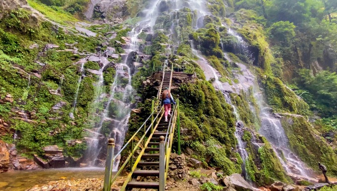 The primeval forest conquers Nhiu Co San, the 9th highest mountain in Vietnam - 4