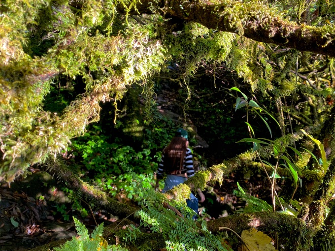 The primeval forest conquers Nhiu Co San, the 9th highest mountain in Vietnam - 6