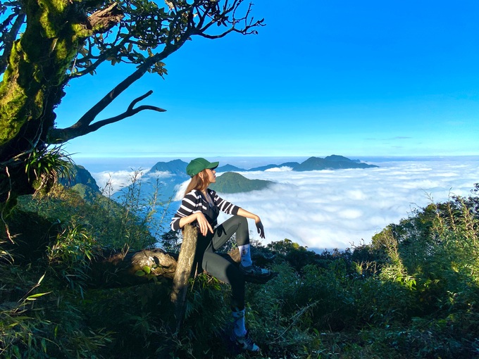 The primeval forest conquers Nhiu Co San, the 9th highest mountain in Vietnam - 5