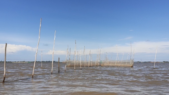 Floods overflow the fields, people head to the water source in the season of shoveling eels and catching fish - 1