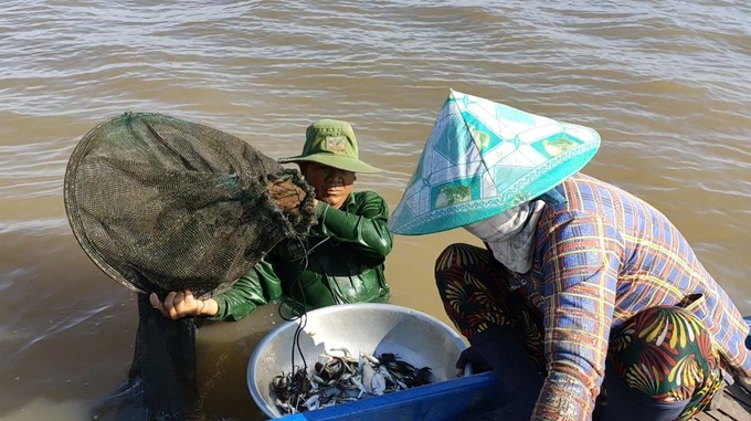 Floods overflowing fields, people head to the water source in the season of shoveling eels and catching fish - 3