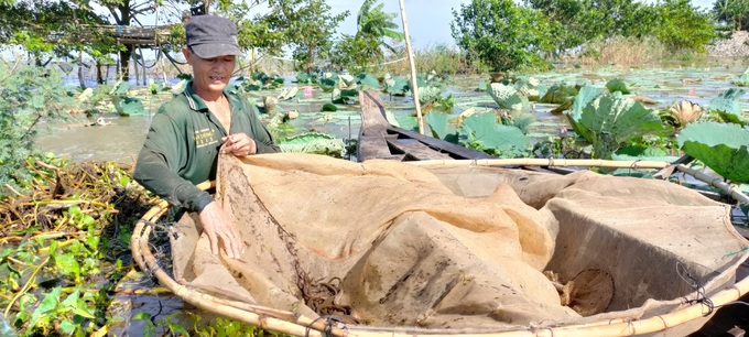 Floods overflow the fields, people head to the water source in the season of shoveling eels and catching fish - 4