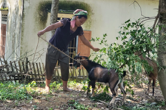 Đồng bào Đan Lai đổi đời khi rời chốn thâm sơn cùng cốc