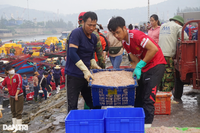 Going one night, Nghe An fishermen earned tens of millions of dong - 6